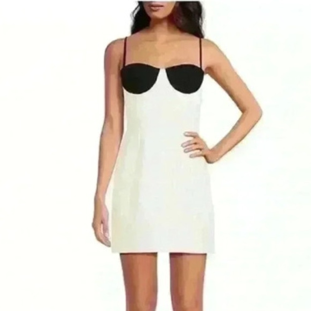 Gianni Bini Black and White Mini Dress